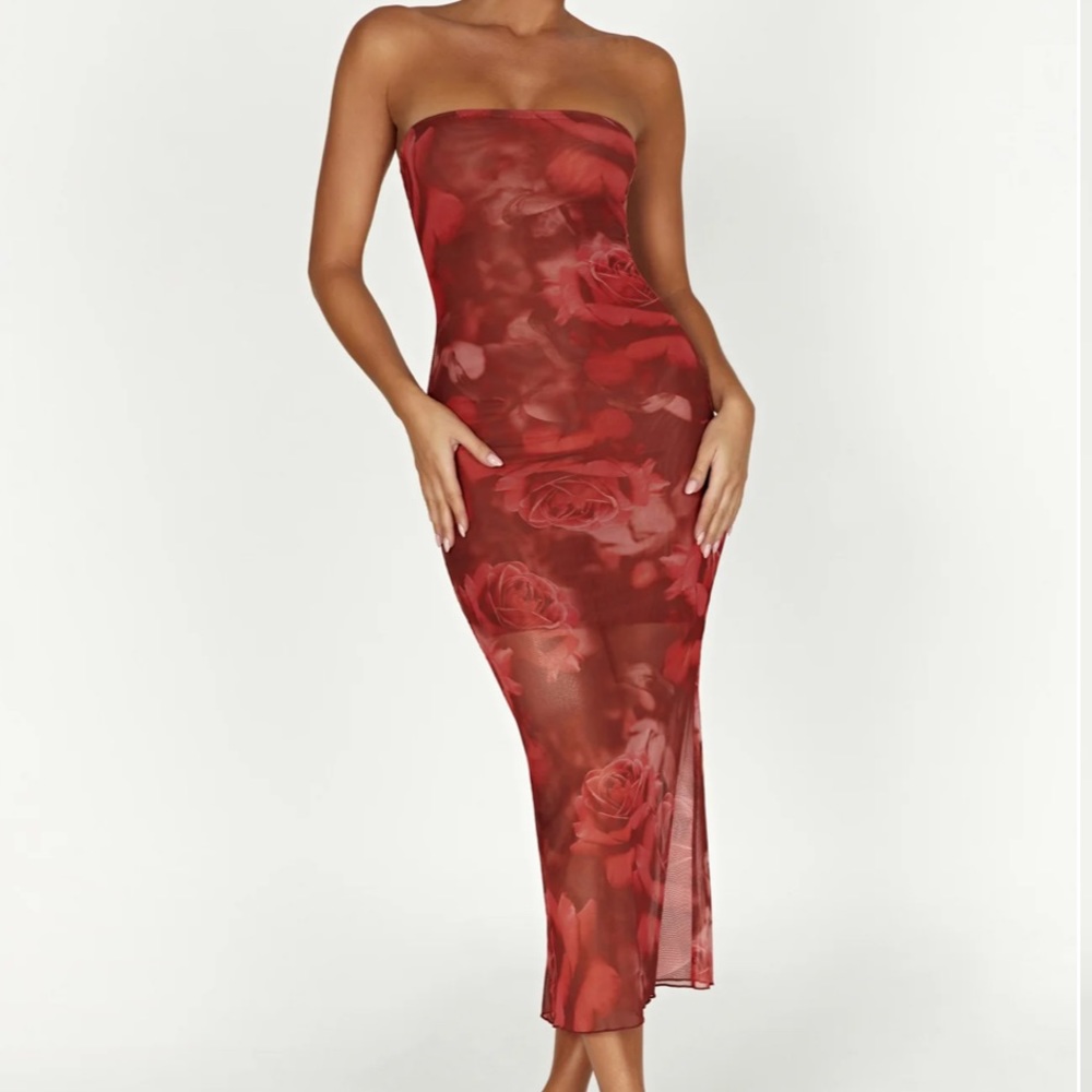 NWT Meshki Aphrodite Strapless Mesh Dress